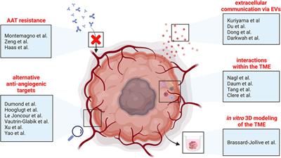 Editorial: Tumor Vessels as Directors of the Tumor Microenvironment: New Findings, Current Challenges & Perspectives